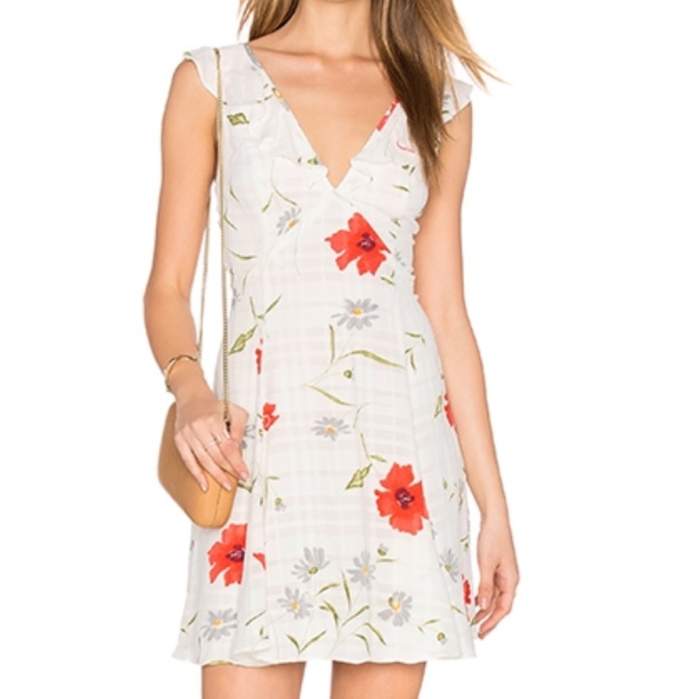 Privacy Please Polk Dress NWOT